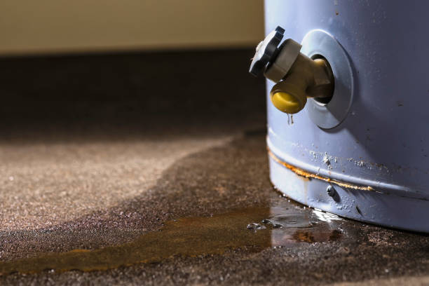 Best Carpet water damage restoration  in Meadview, AZ