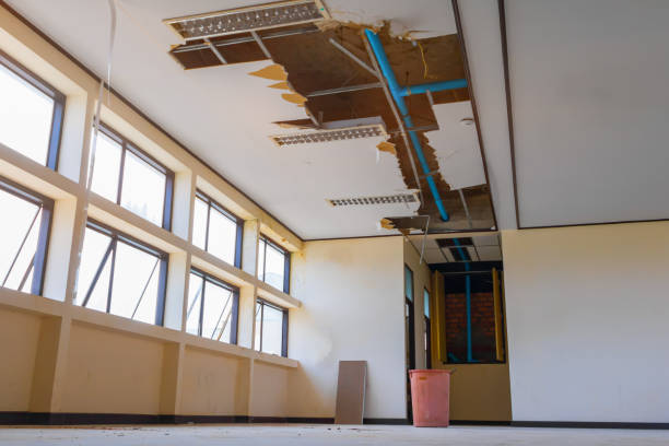 Best Flood restoration services  in Meadview, AZ