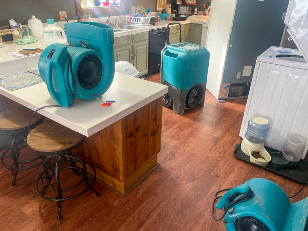 Best Water damage restoration near me  in Meadview, AZ