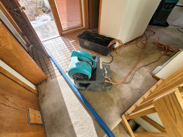Best Water damage restoration services  in Meadview, AZ