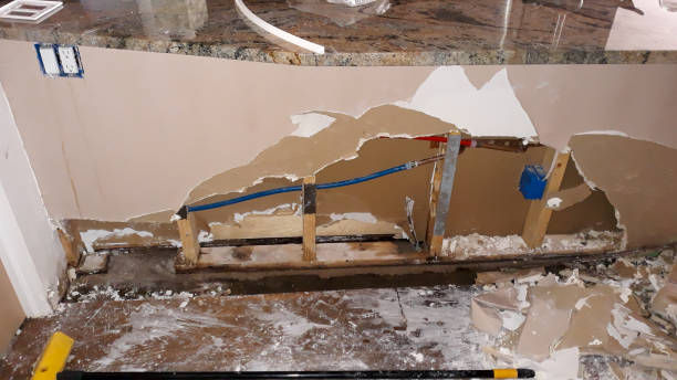 Best Local water damage restoration  in Meadview, AZ