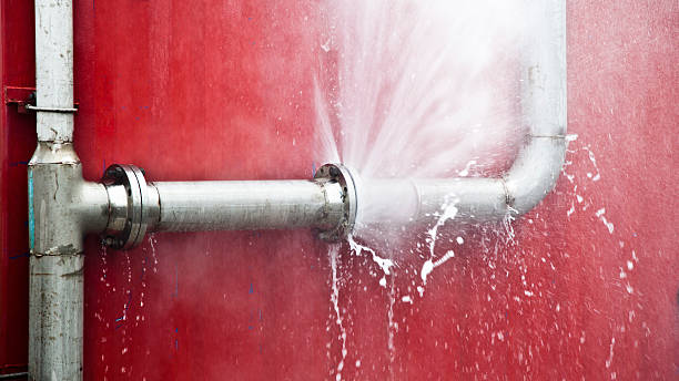Best Water damage cleanup near me  in Meadview, AZ