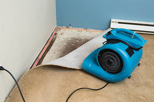 Best Water damage contractors near me  in Meadview, AZ